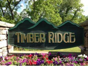 unlisted-address, Leicester, NC 28748 - photo 2