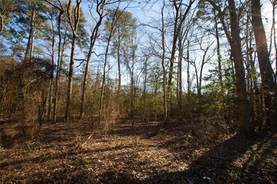 00 County Road 3812, Cleveland, TX 77328 - photo 5