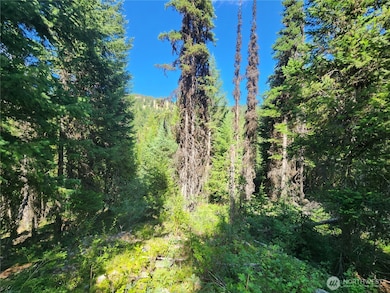 0 XX E Fork Cougar Creek Rd, Wauconda, WA 98859 - photo 7