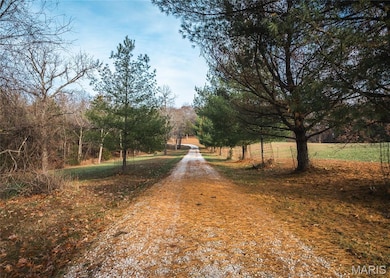 16470 Maries Road 521, Johnson Township, MO 65580 - photo 4