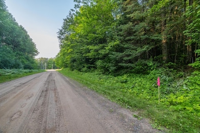 LOTS 8/9 Tower Rd, Crandon, WI 54520 - photo 7