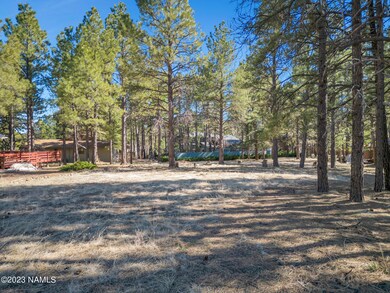 TimberCreekImagery-4