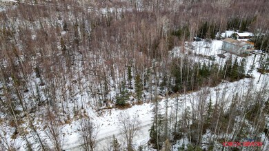 3101 W Marble Way, Wasilla, AK 99654 - photo 2