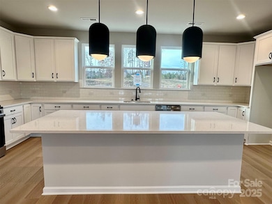 238 Ferebee Place unit BRX0074, Charlotte, NC 28213 - photo 2