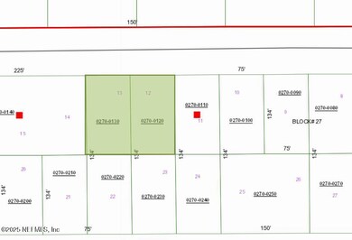 245 & 243 Georgetown Denver Rd, Georgetown, FL 32139 - photo 4