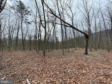 9.50 AC Bird Ridge Rd, Springfield, WV 26763 - photo 5