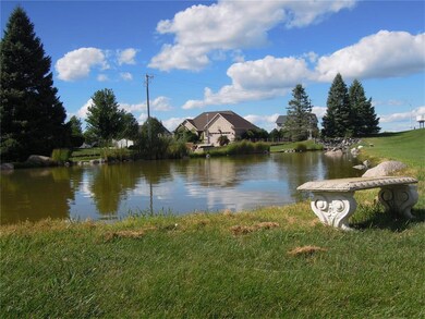 Peaceful pond view