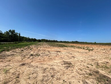 20.26+-ac Cecil Varnum Rd, Dothan, AL 36301 - photo 5