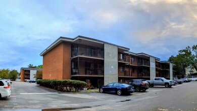 2 Arizona Terrace unit 4, Arlington, MA 02474 - photo 3