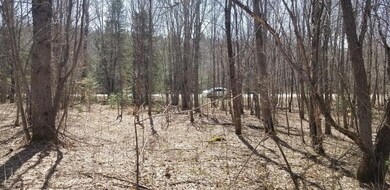 20230414_115712_resized_2