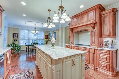 Gourmet kitchen for the chef in the house.