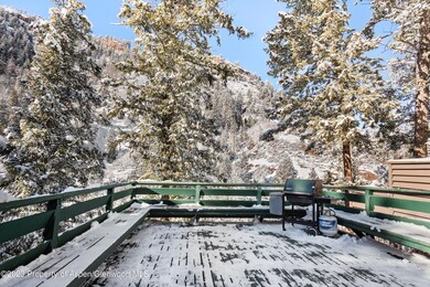 1501 Maroon Creek Rd unit 5, Aspen, CO 81611 - photo 2