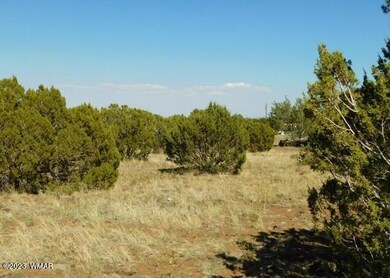 8548 Quail Run Dr Show Low, AZ 85901