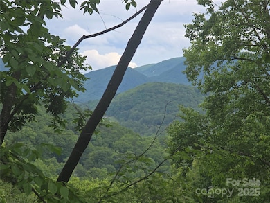 89 Weeping Cherry Forest Rd, Fairview, NC 28730 - photo 2