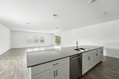 11132 Lore Way, Orlando, FL 32832 - photo 5