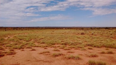 Plenty of room for horses