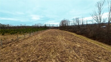 20 Nelson Rd, Danby, NY 14850 - photo 6