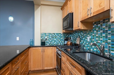 Gaylord unit 1A1A, White Plains, NY 10605 - photo 4