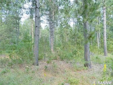 0 N Black Brook Rd unit 895453, Webster, WI 54893 - photo 3