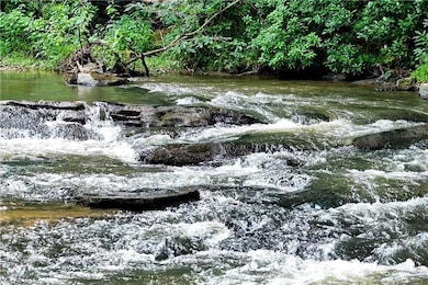 434 Whispering Pine Ln, Cherry Log, GA 30522 - photo 4