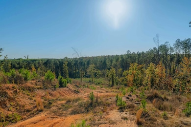 000 Quarter Round Rd, Pacolet, SC 29372 - photo 2