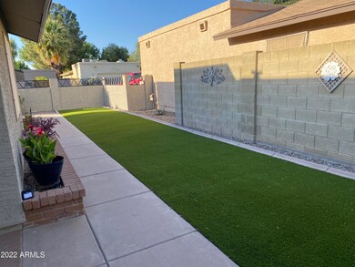 Side Yard w/ Artificial Turf