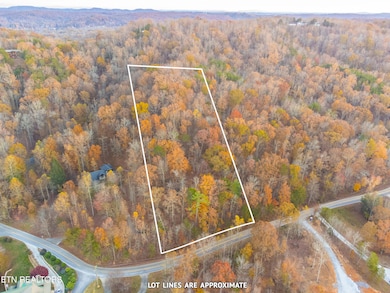 Lot 84 Indian Shadows Dr, Ten Mile, TN 37880 - photo 3