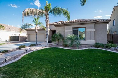 Front Yard