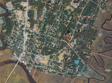 1006 Oglethorpe Ln, Darien, GA 31305 - photo 2