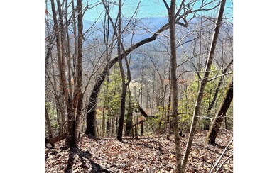 Additional View
