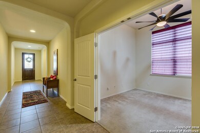 3822 Ox-Eye Daisy, San Antonio, TX 78261 - photo 5