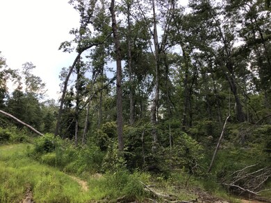 0 Hurricane Creek Rd unit 2226603, Linden, TN 37096 - photo 4