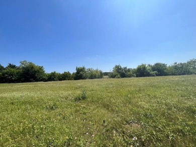 Field and some trees