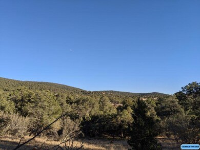 21 Vesuvius Way, Silver City, NM 88061 - photo 7