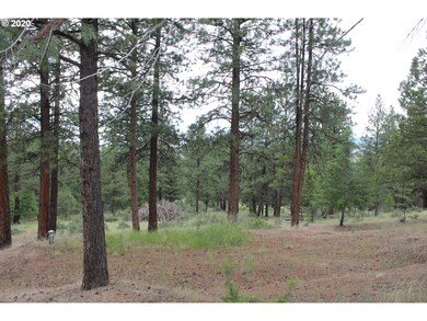 0 Pineview Ln, Canyon City, OR 97820 - photo 7