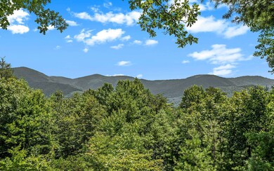 Additional View