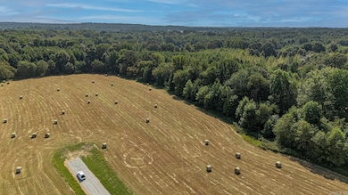 Tract 3 Greene 726 Rd, Paragould, AR 72450 - photo 3