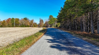 5667 Longview Dr, Kenbridge, VA 23944 - photo 6