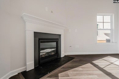 260 Brando Way, Columbia, SC 29223 - photo 4