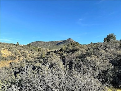 Purple Heart Trail, Kingman, AZ 86401 - photo 7