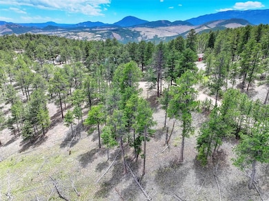 54 Holmes Gulch Rd, Bailey, CO 80421 - photo 7