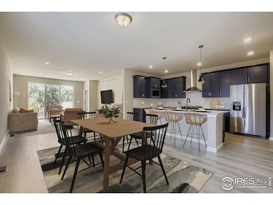 DINING ROOM INTO THE KITCHEN