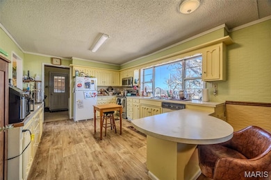 Kitchen with a peninsula, light countertops, crown molding, light wood-type flooring, and stainless steel appliances