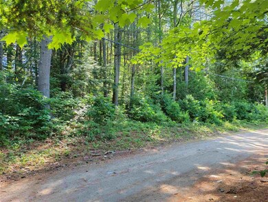 0 Old Woods Rd unit 16 4868781, Tuftonboro, NH 03816 - photo 4