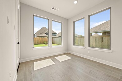 201 Horsemint Ln, Georgetown, TX 78633 - photo 6