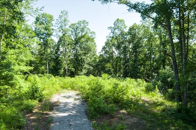 689 Pates Ford Rd, Walling, TN 38587 - photo 3