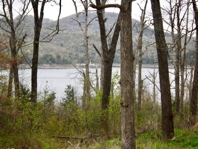 322 Tulip Rd, Kimberling City, MO 65686 - photo 2