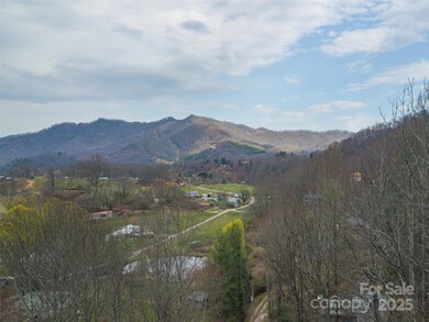 99999 Molasses Way unit 18, Waynesville, NC 28785 - photo 2