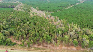 Bird's eye view with a rural view