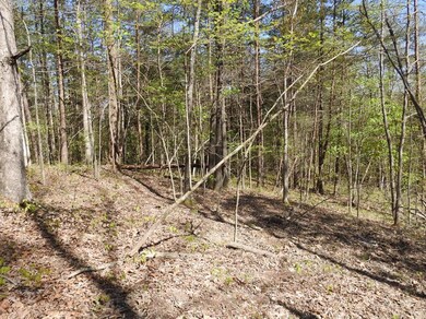 901 Ben Baker, Somerset, KY 42501 - photo 7